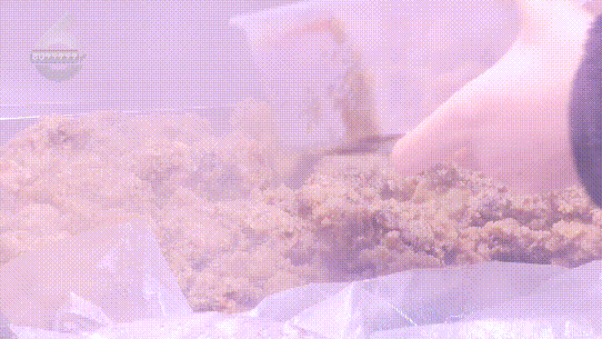 融！这些御寒姿势总有一款适合你PG麻将胡了2试玩热腾腾、暖融(图18)