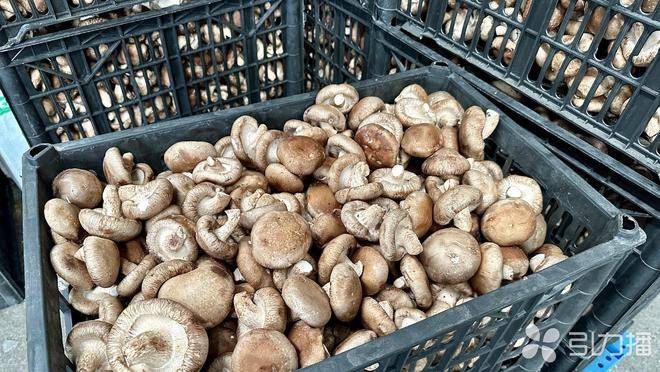 团圆宴“火锅+腌笃鲜”食材热销麻将胡了电