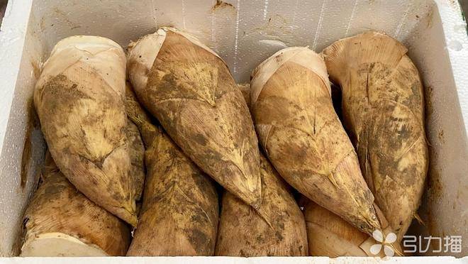 团圆宴“火锅+腌笃鲜”食材热销麻将胡了电子游戏苏州人开吃跨年(图2)