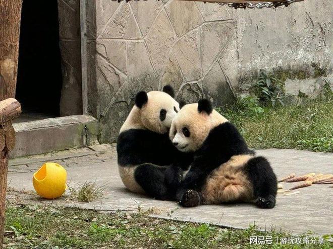 天大概多少钱合适 重庆攻略图口碑最好PG麻将胡了试玩平台一家人在重庆玩3(图5)